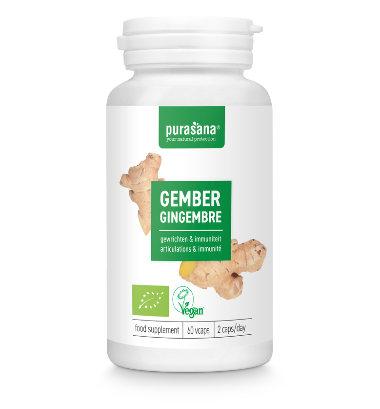 Purasana Vegan Ingwer Bio