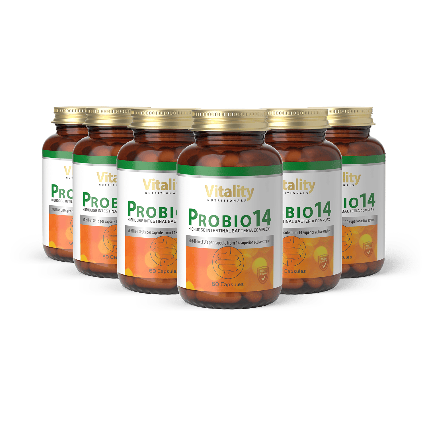 Probio14 x 6 - 12 Monate Darmunterstützung