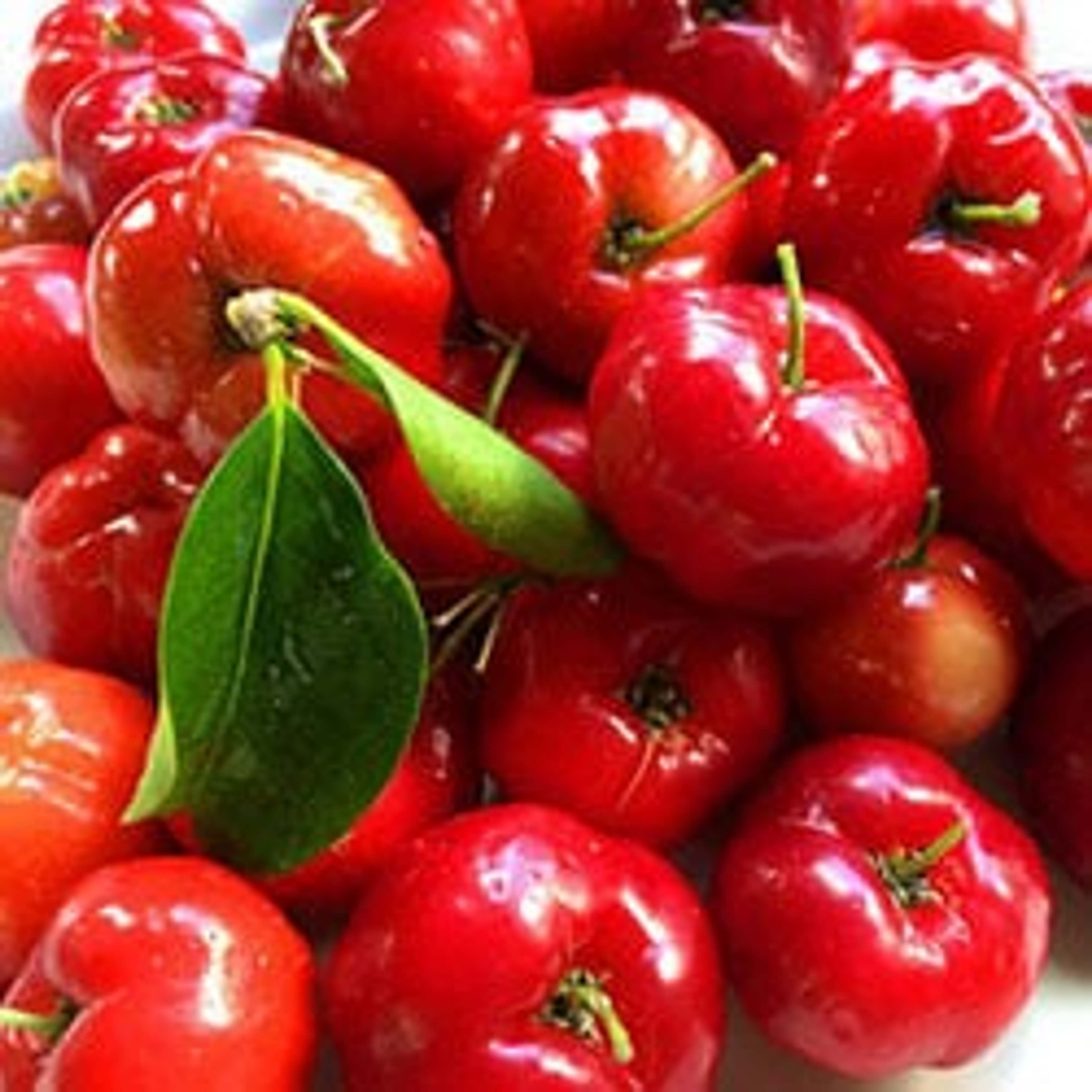 Acerola - A natural vitamin C for your health