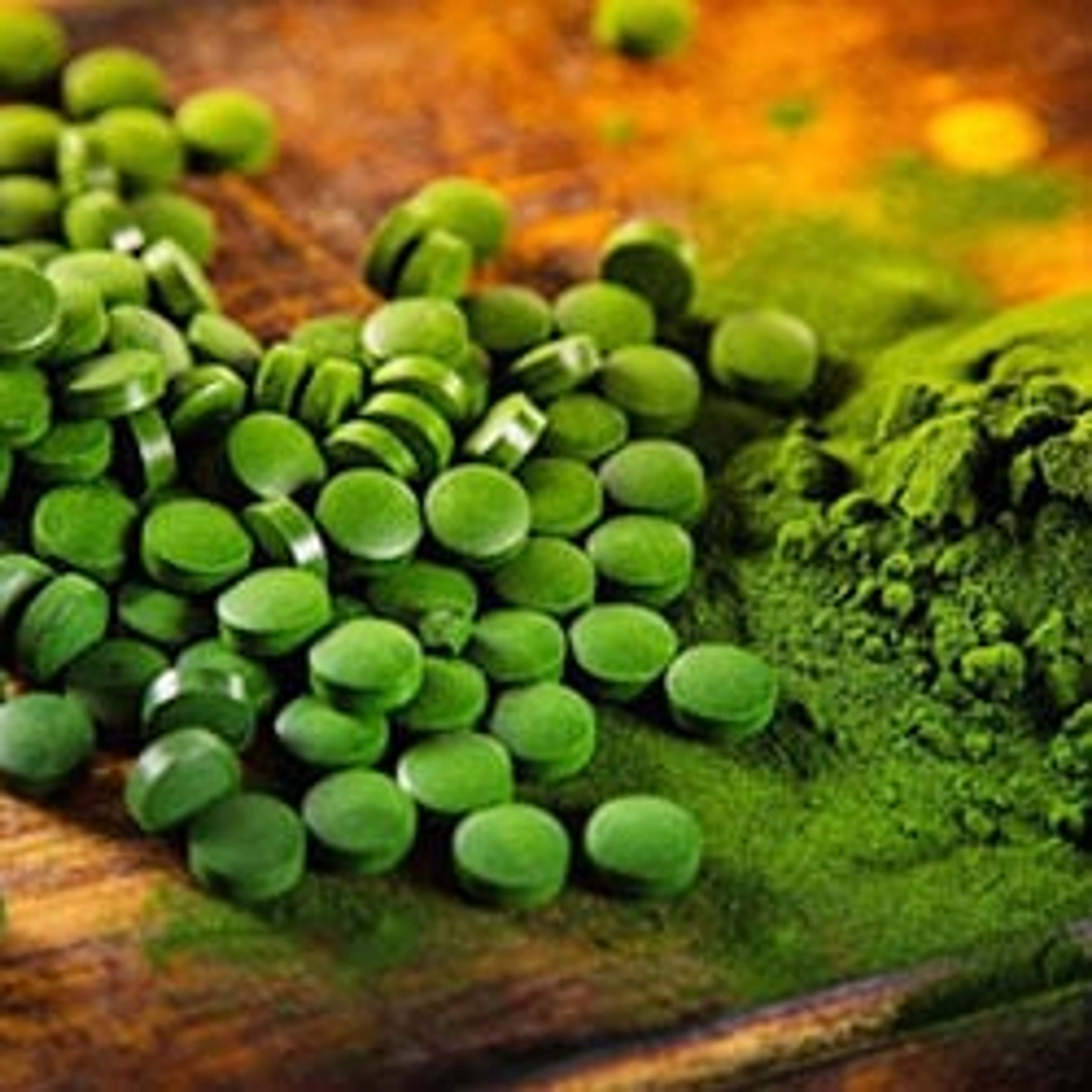 La chlorelle - l'algue riche en substances vitales