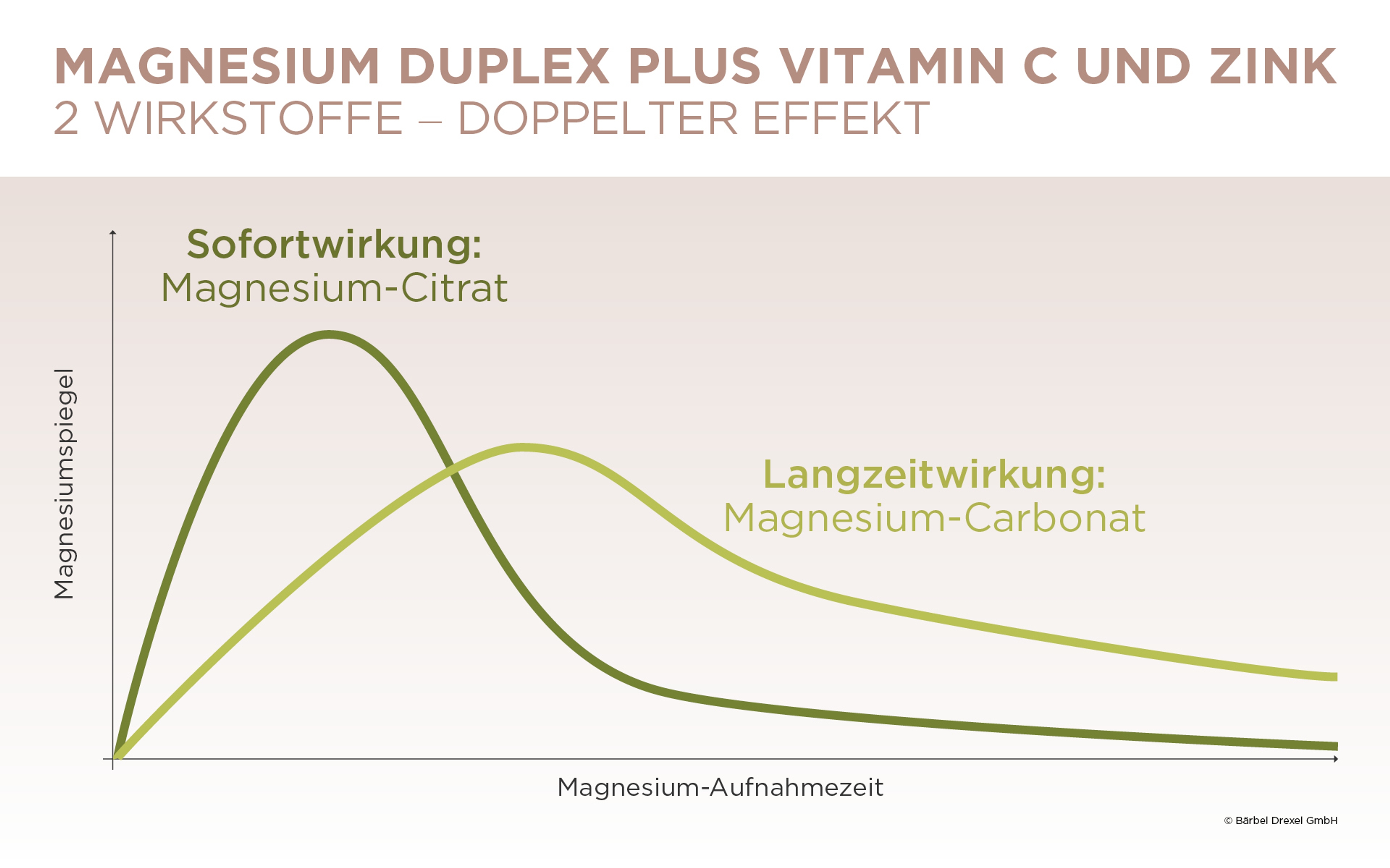 ST_Magnesium Duplex Plus Vitamin C und Zink_Grafik-Duplex-Wirkung_275870.jpg