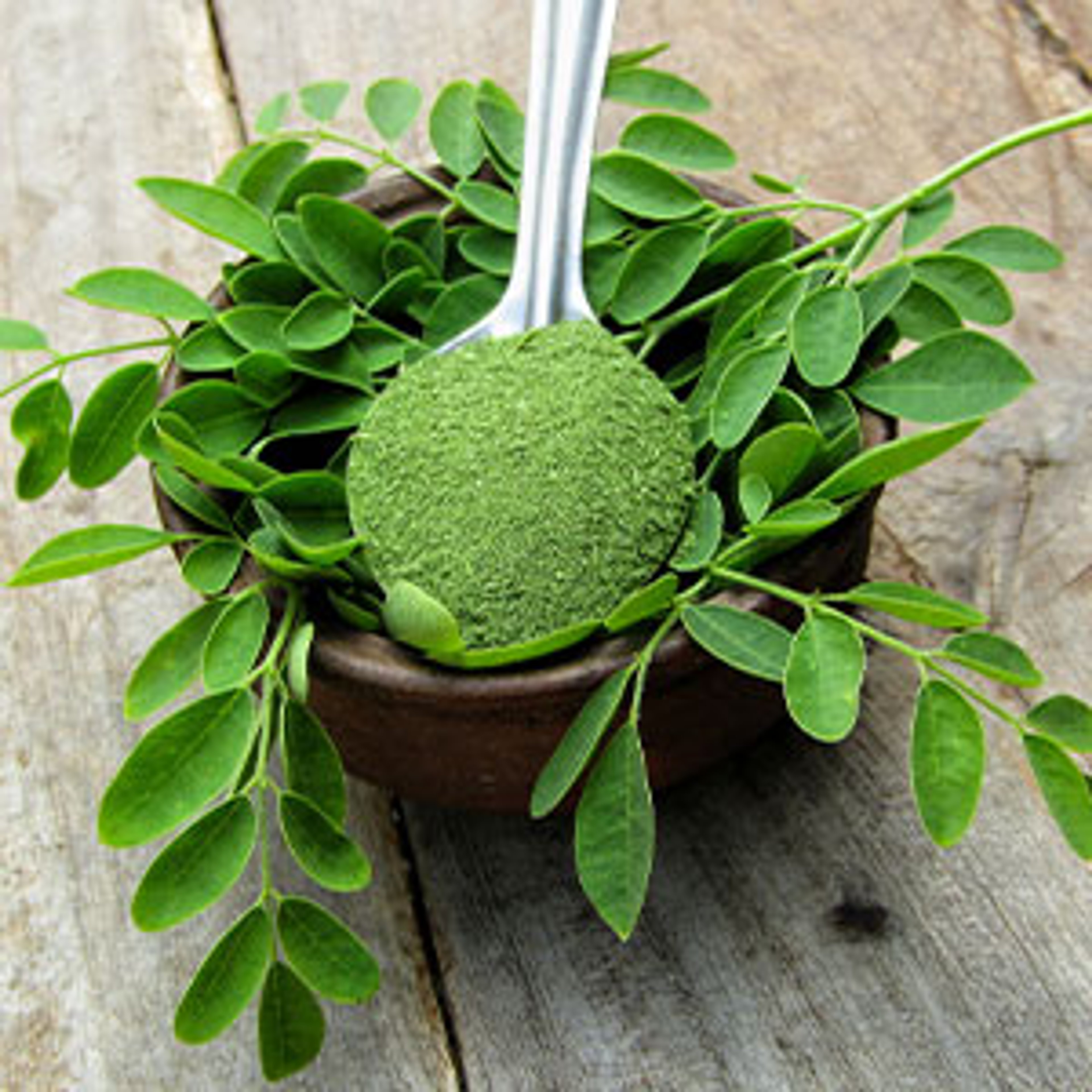 Moringa - vom Wunderbaum zum Superfood