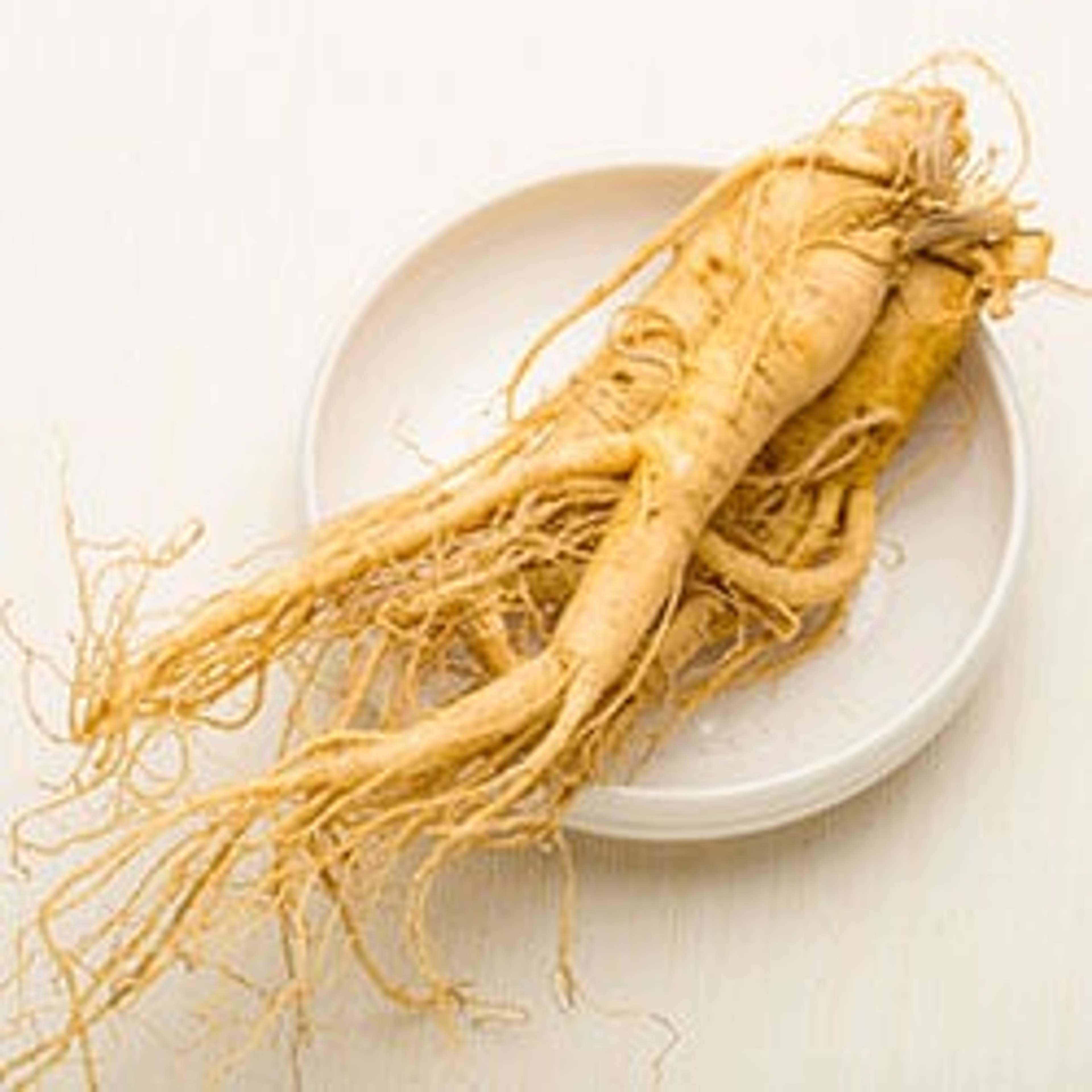 Ginseng - The magic root