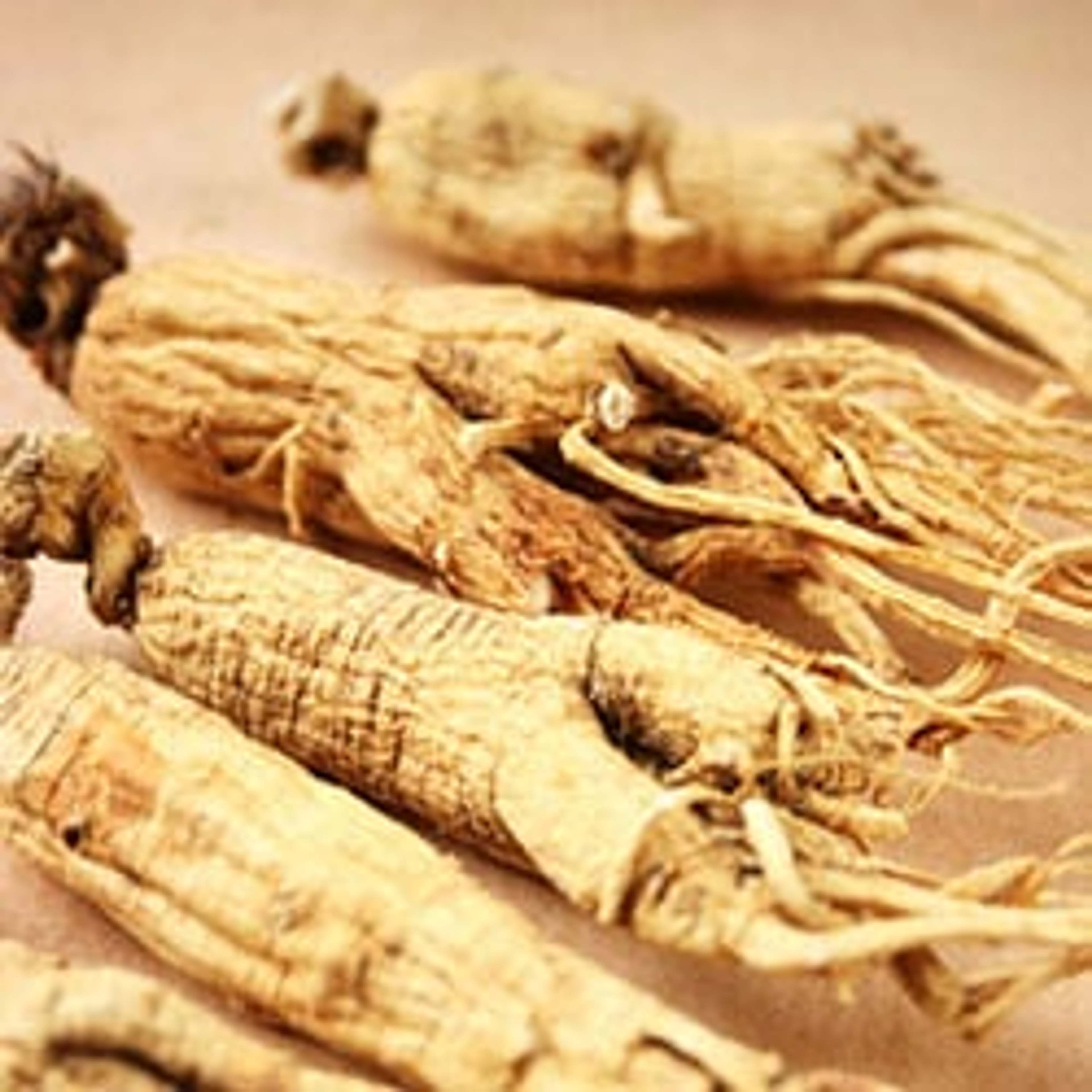 Ginseng is a natural and powerful supplement which can enhance the body's function to maintain a healthy weight, assist memory loss and boost the immune system.