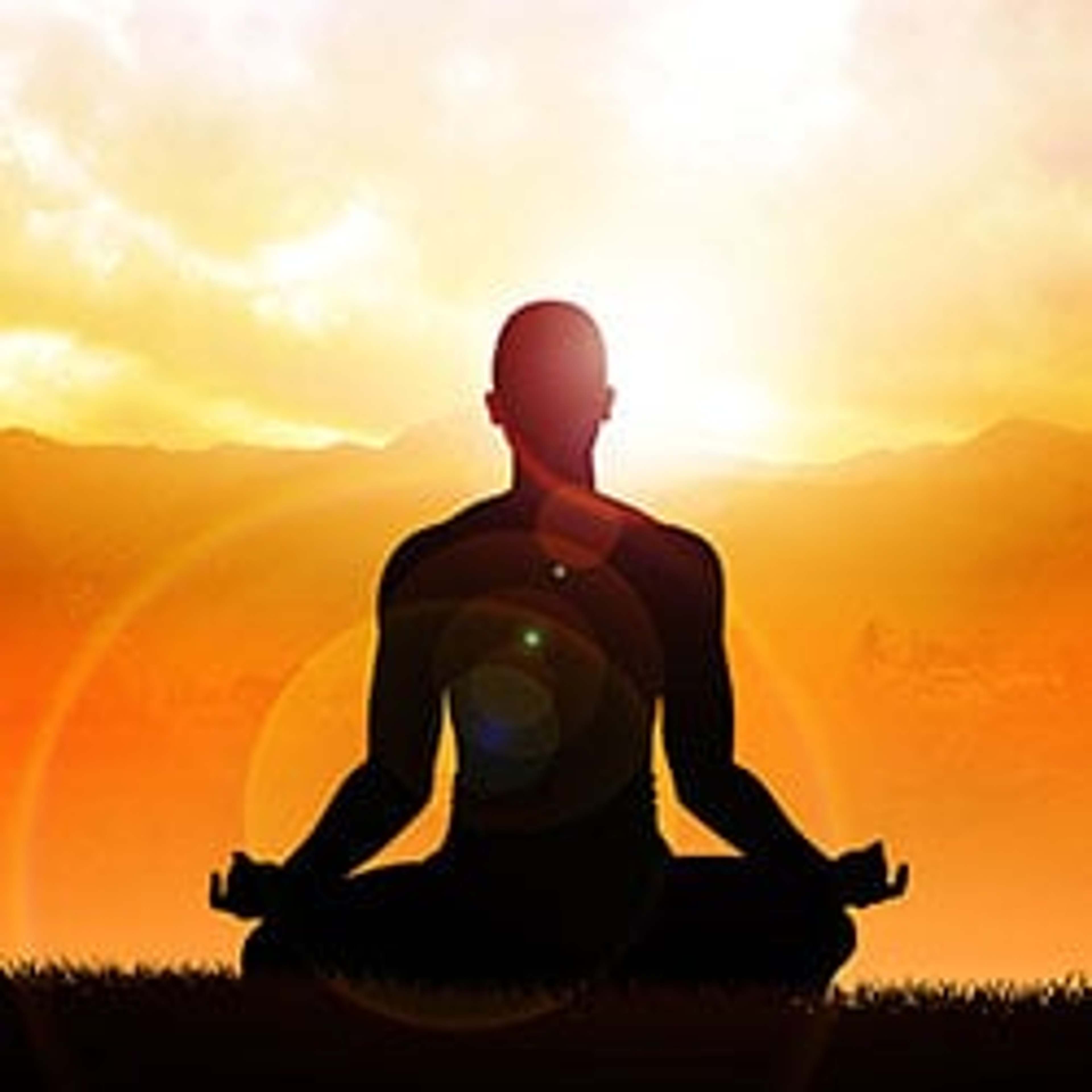 L’ashwagandha rafforza il sistema immunitario, aumenta le prestazioni, promuove la pace interiore e fornisce soddisfazione mentale.