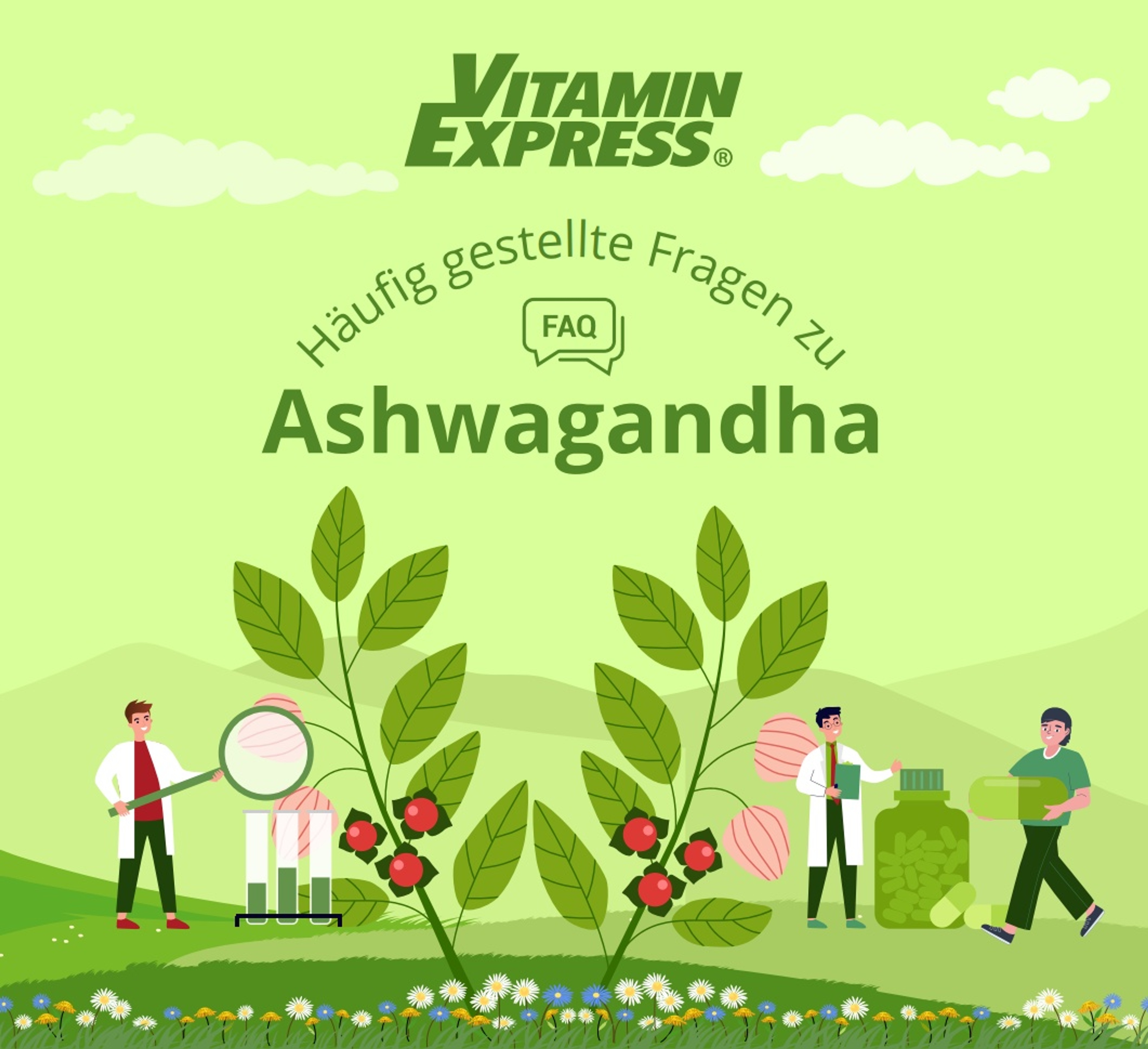 FAQ - Ashwagandha