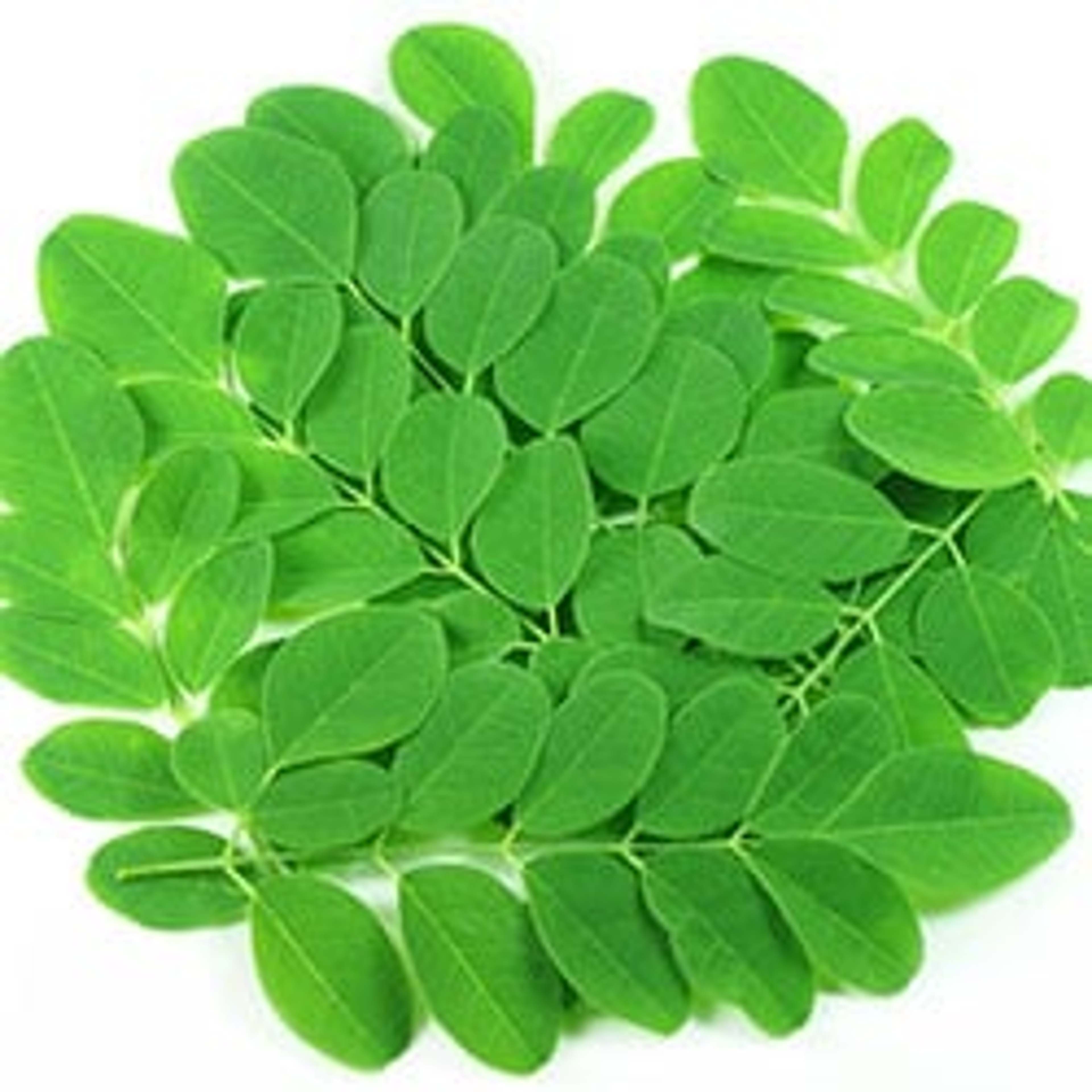 Moringa - From miracle tree to superfood